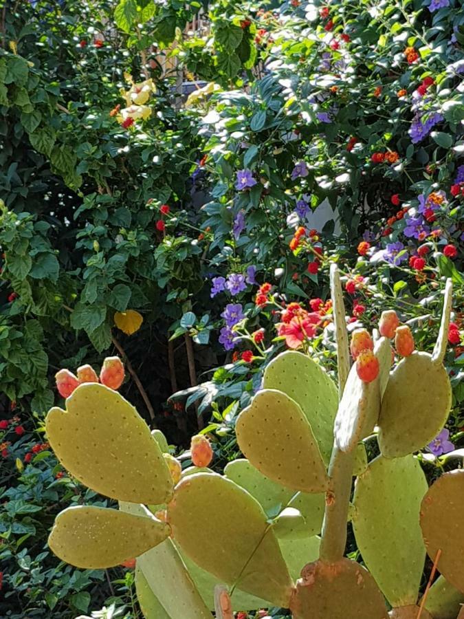 La Foresteria Garden Boutique B&B Catania Eksteriør billede